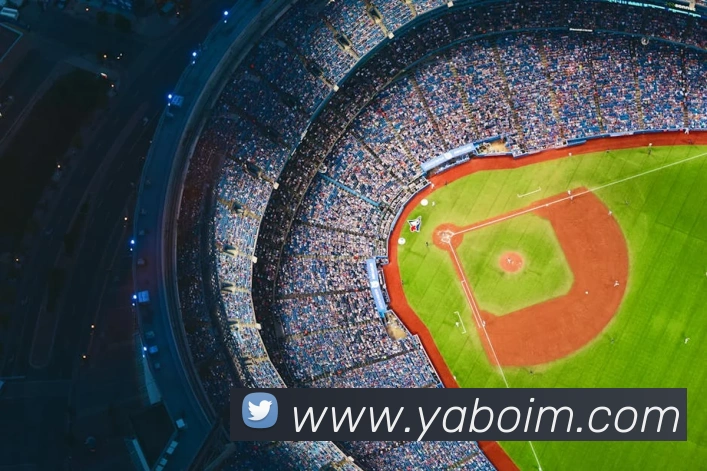 yabo平台生态图